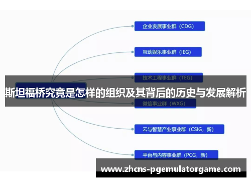 斯坦福桥究竟是怎样的组织及其背后的历史与发展解析